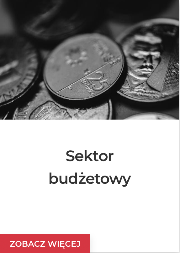 Sektor budżetowy